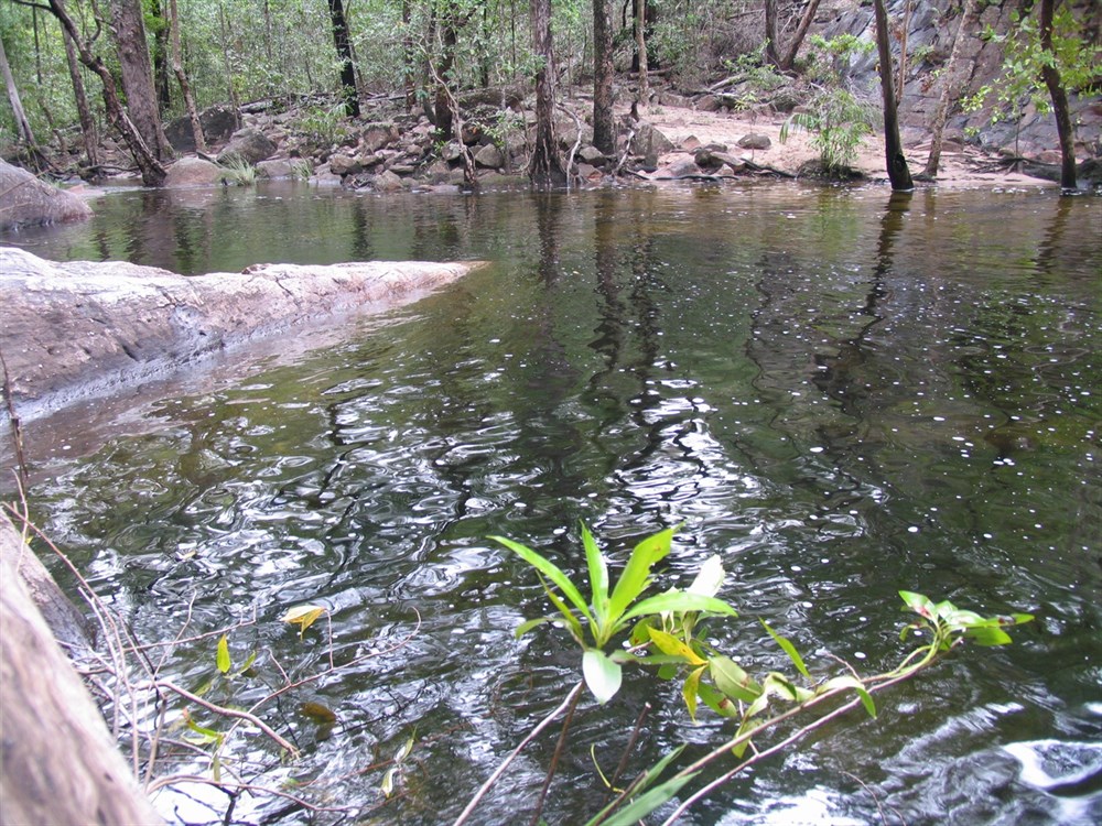 Gubara Pools: Tranquil Oasis in Kakadu