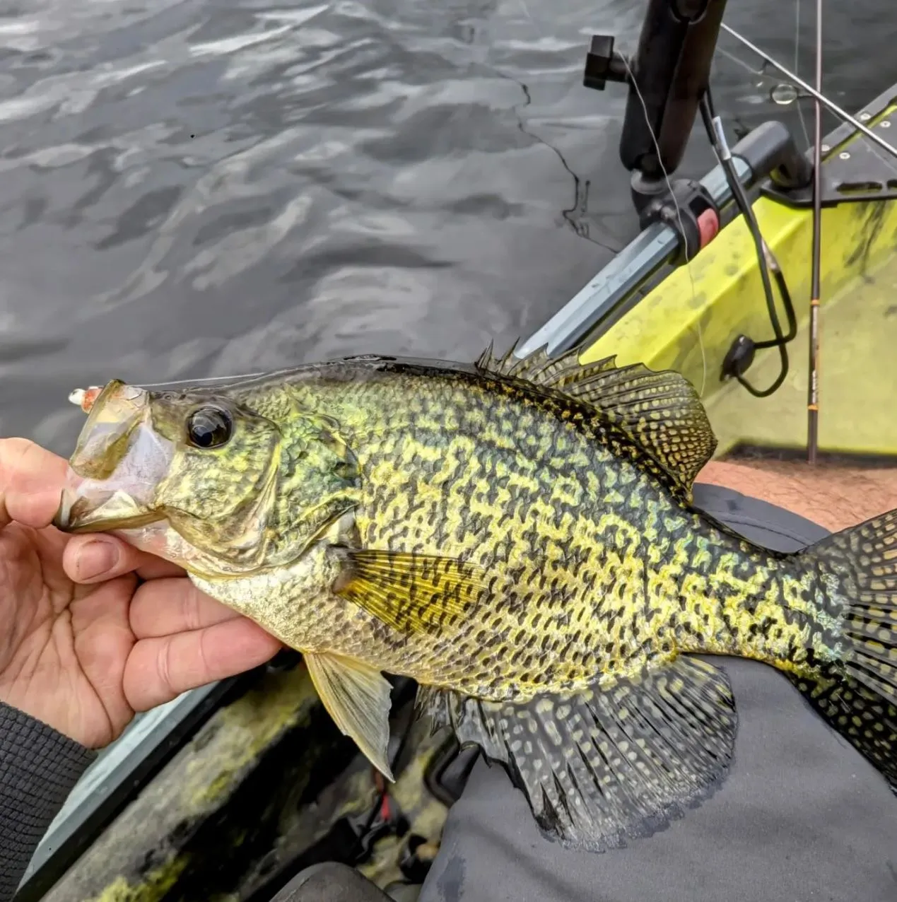Kayak fishing