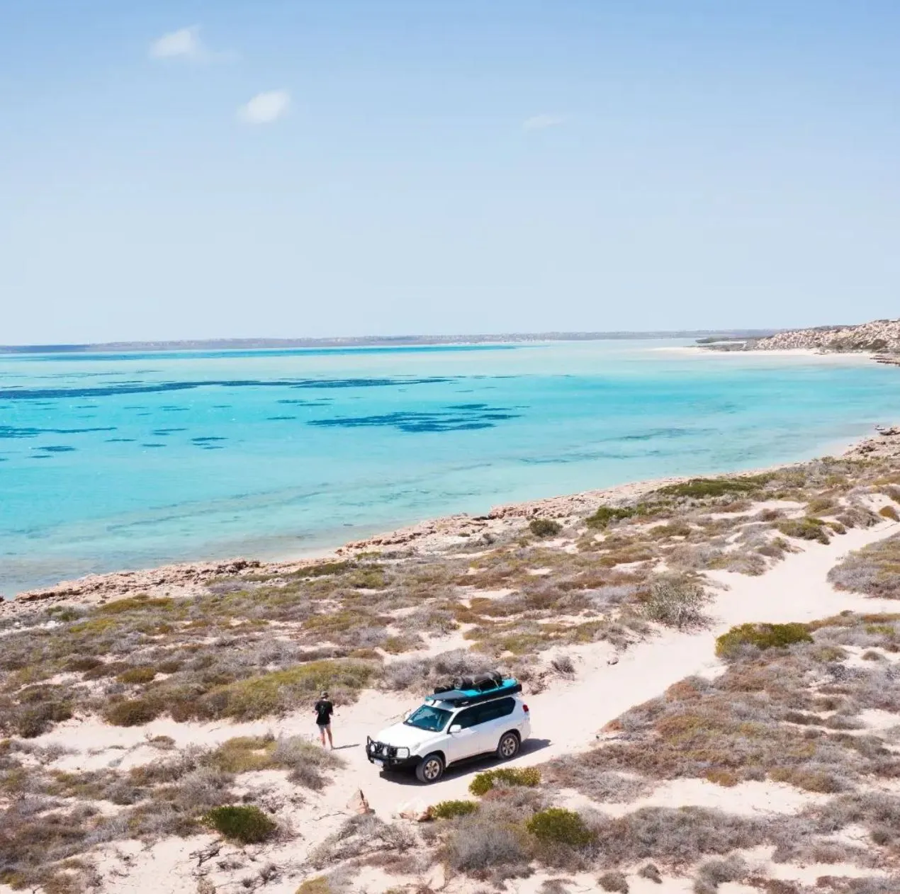 Shark Bay