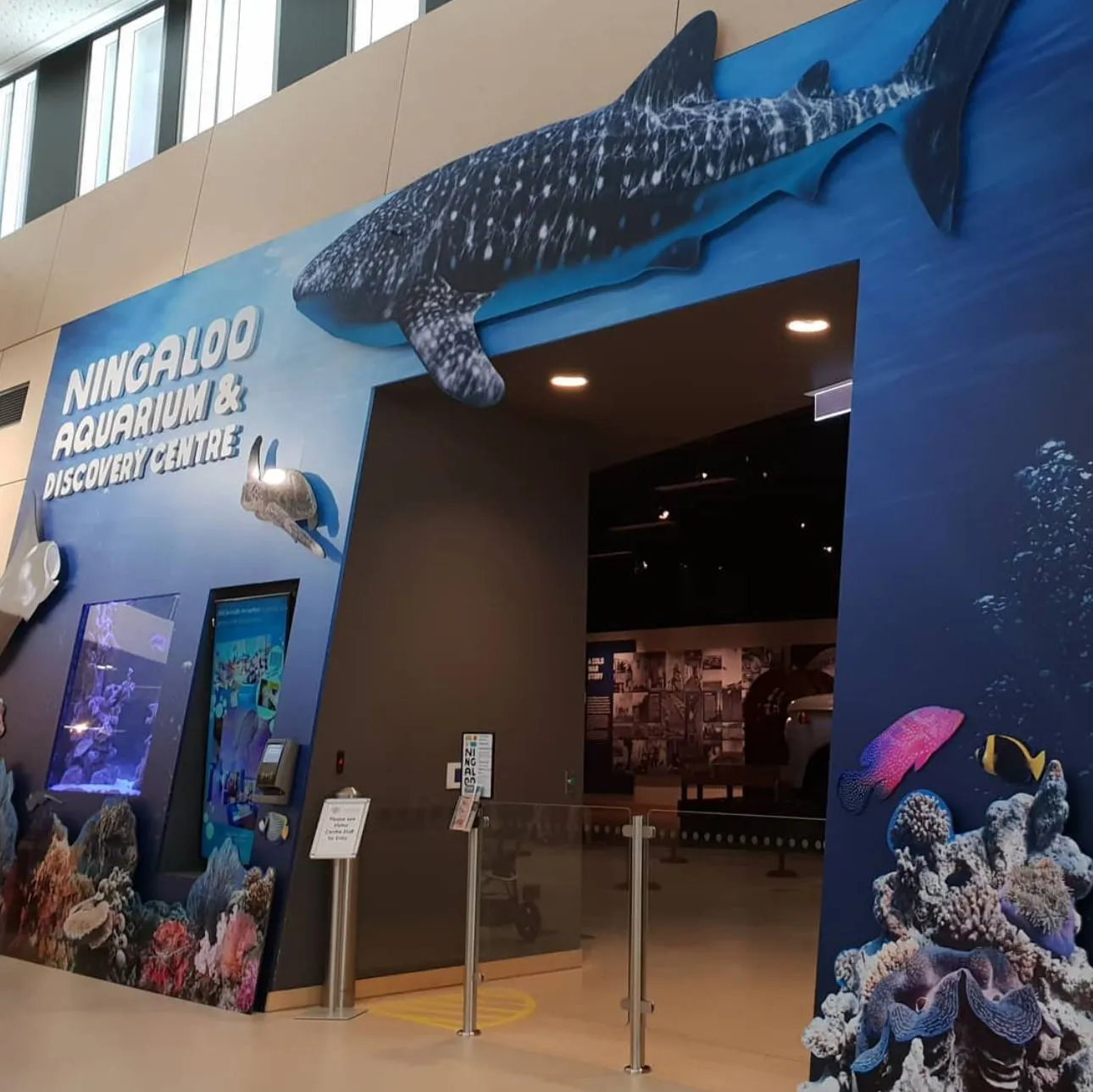 Discover the Wonders of Ningaloo Aquarium & Marine Life